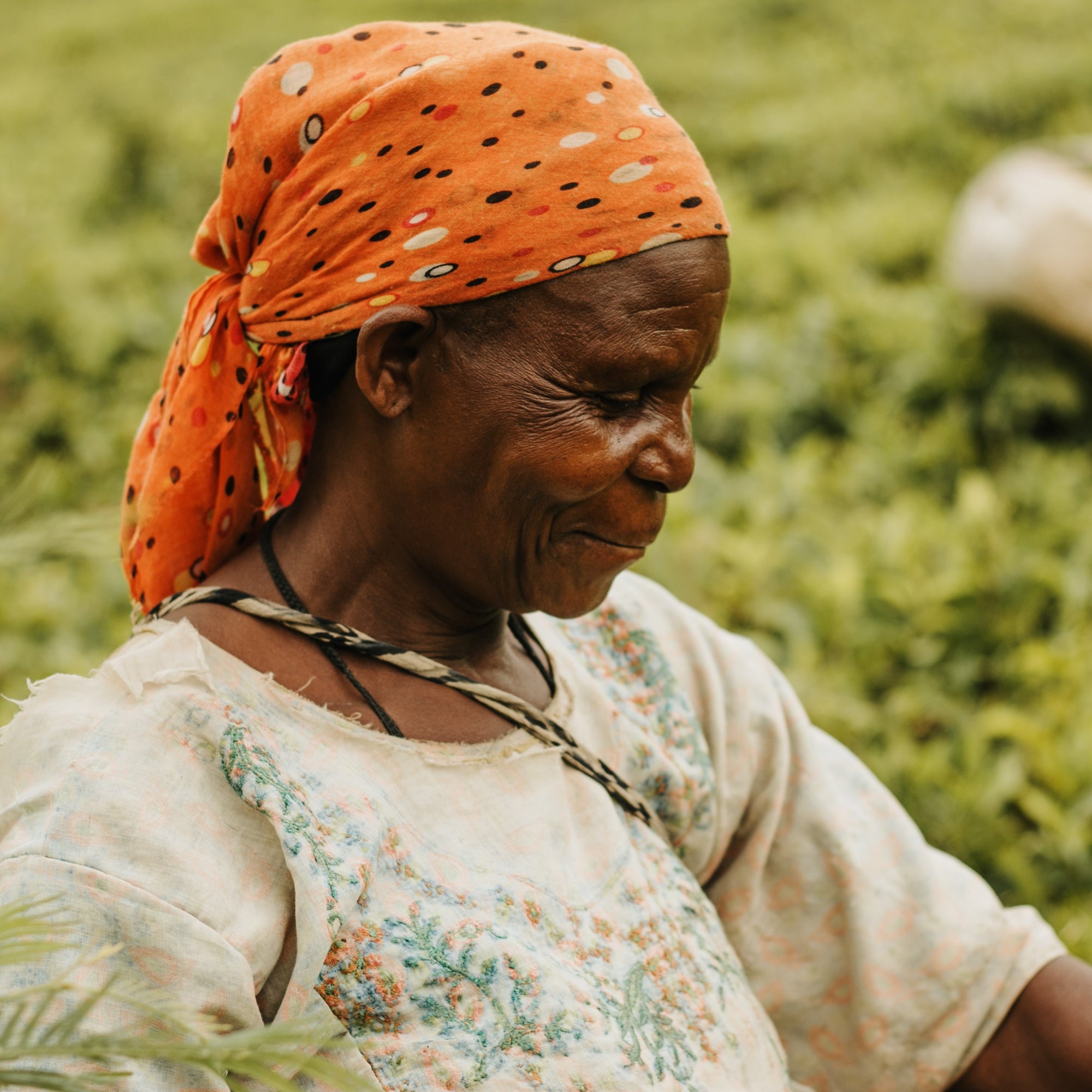 KAZI YETU Zanzibar Chai Tea Tubes
