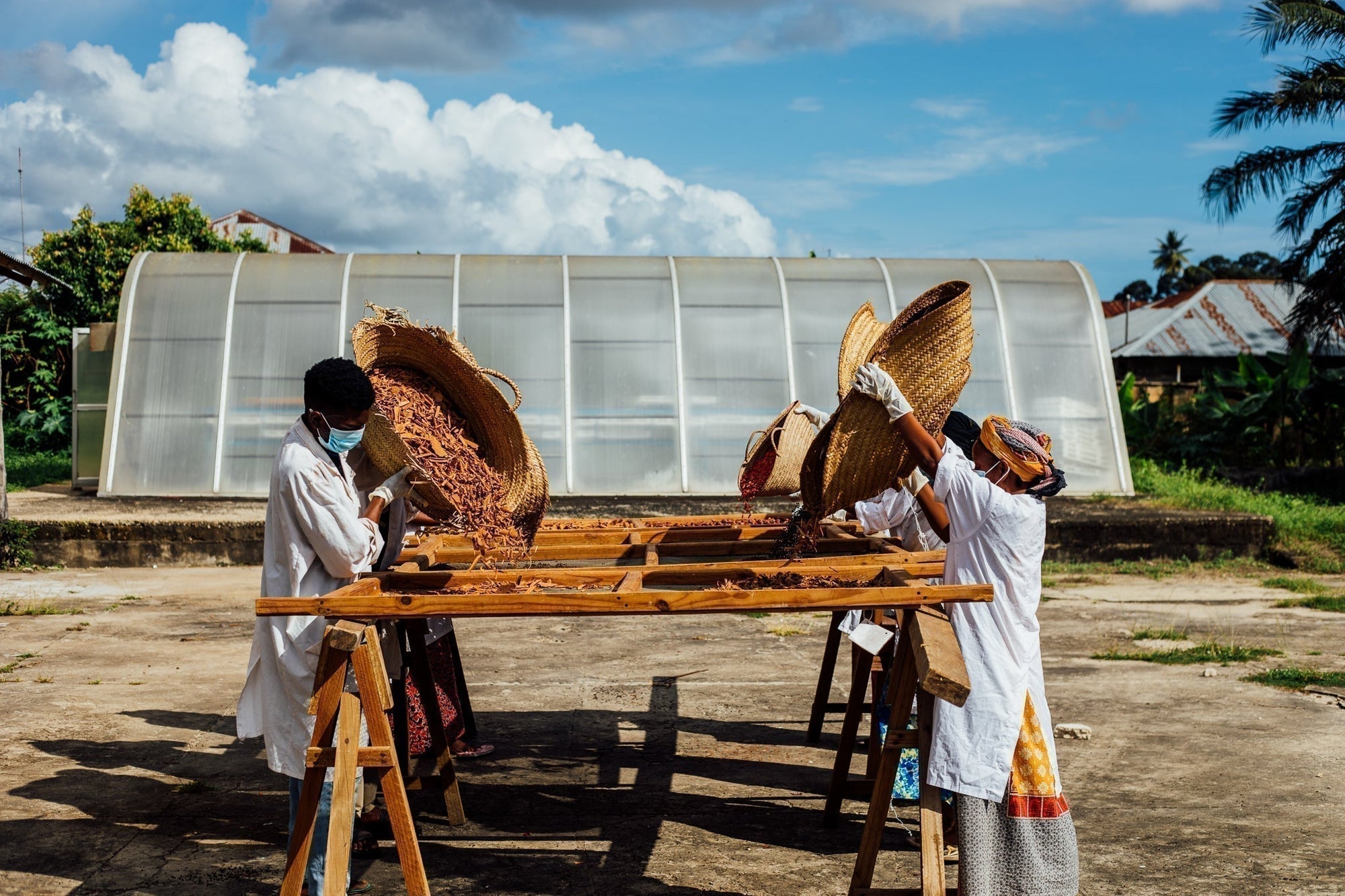 1001 Organic ist ab sofort anerkannter Lieferant des Weltladen Dachverbandes!