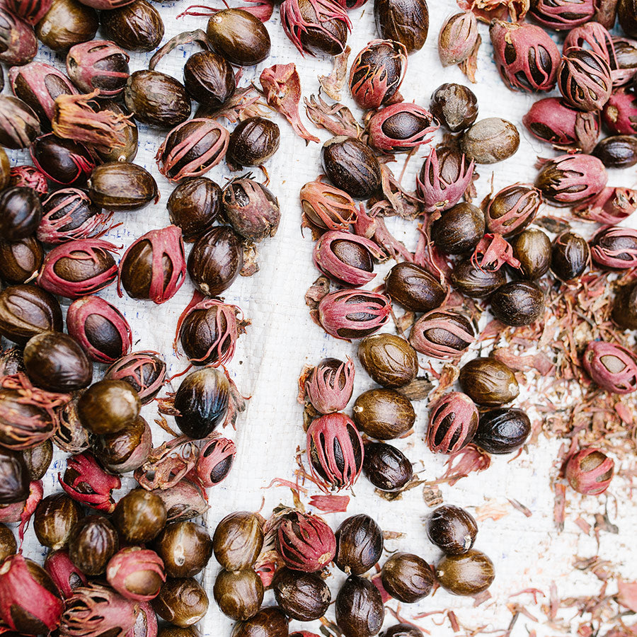 Muskatnuss von 1001 Organic Muskatnuss von 1001 Organic